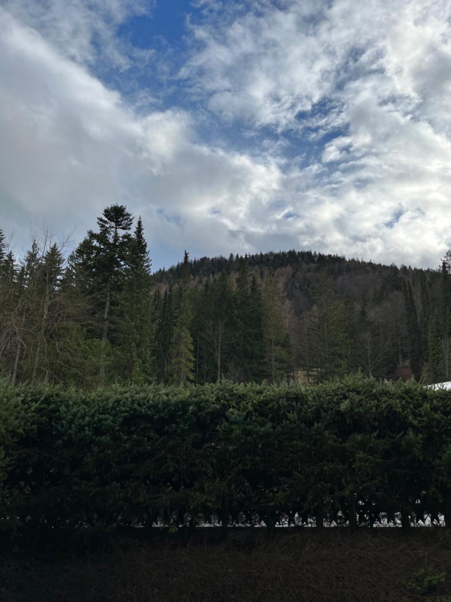 Fewo Lautersee ميتنوالد المظهر الخارجي الصورة