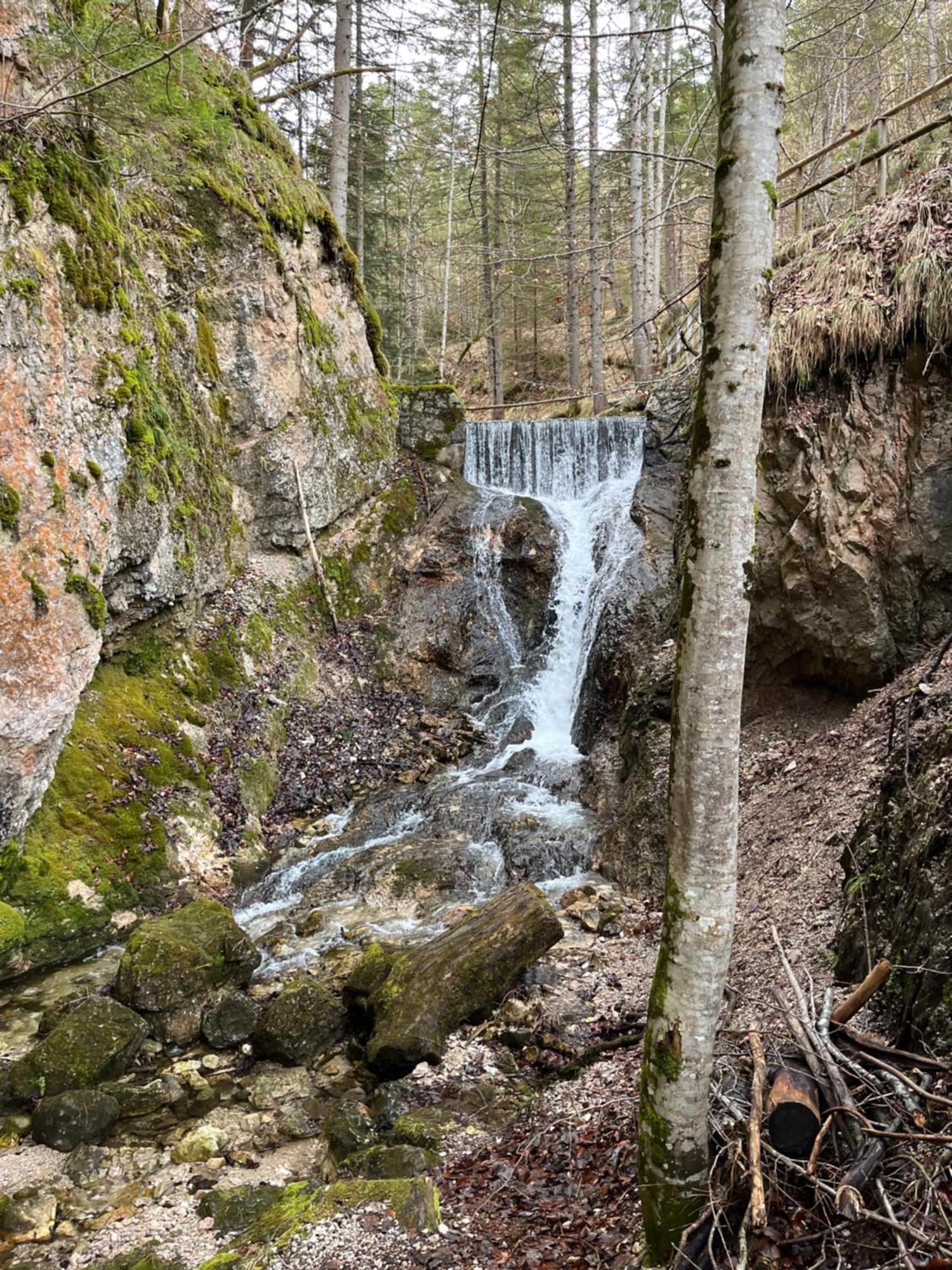 Fewo Lautersee ميتنوالد المظهر الخارجي الصورة