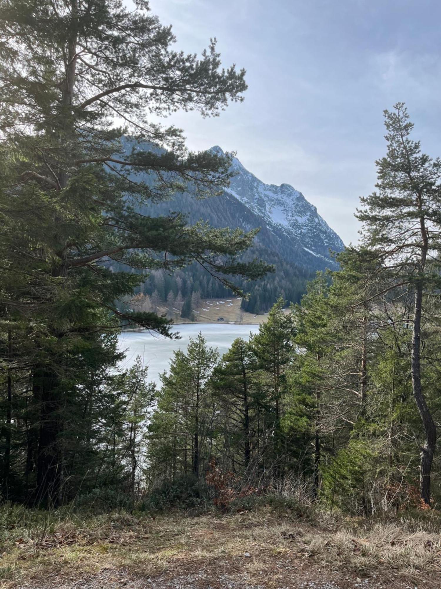 Fewo Lautersee ميتنوالد المظهر الخارجي الصورة