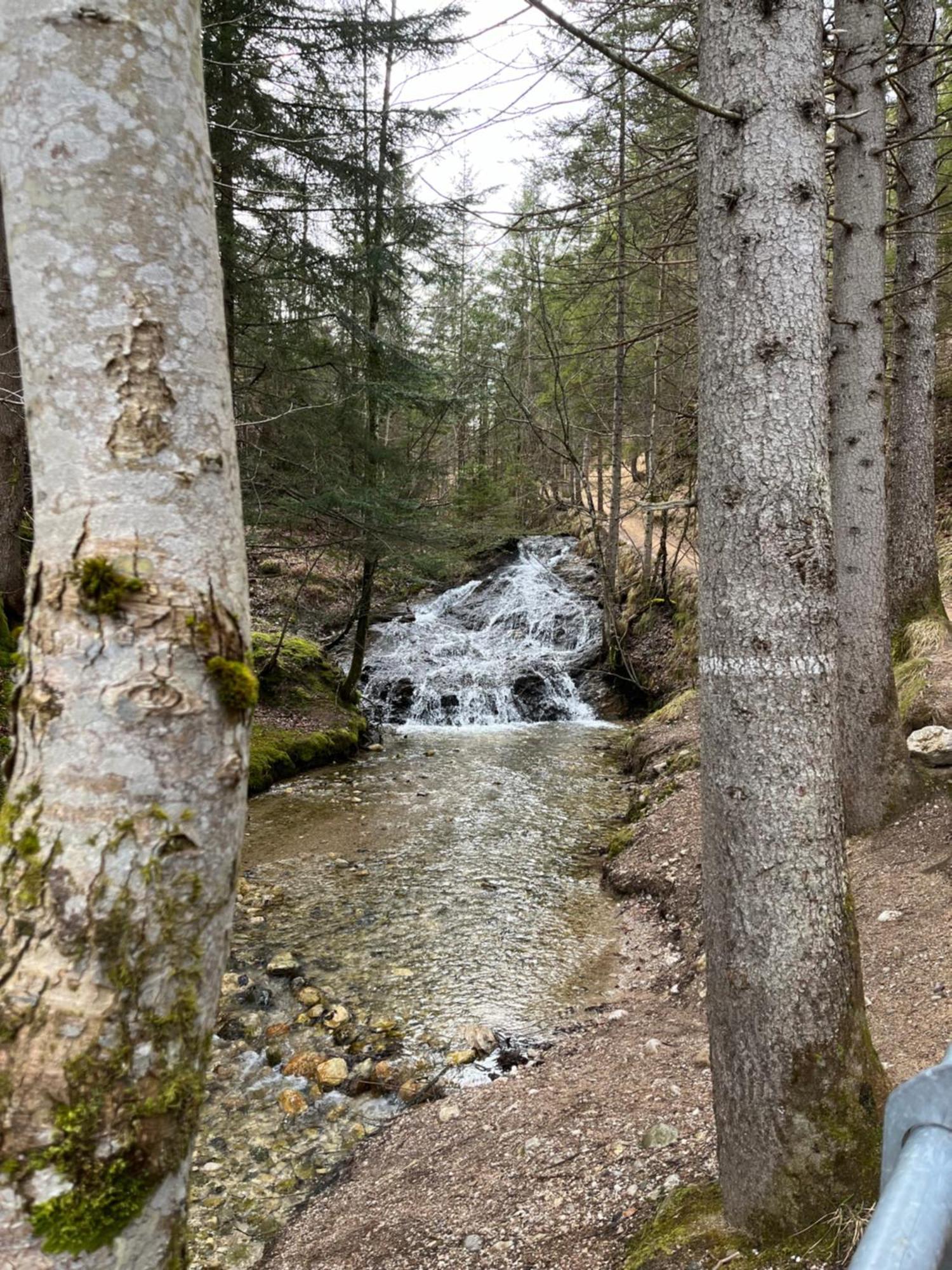 Fewo Lautersee ميتنوالد المظهر الخارجي الصورة