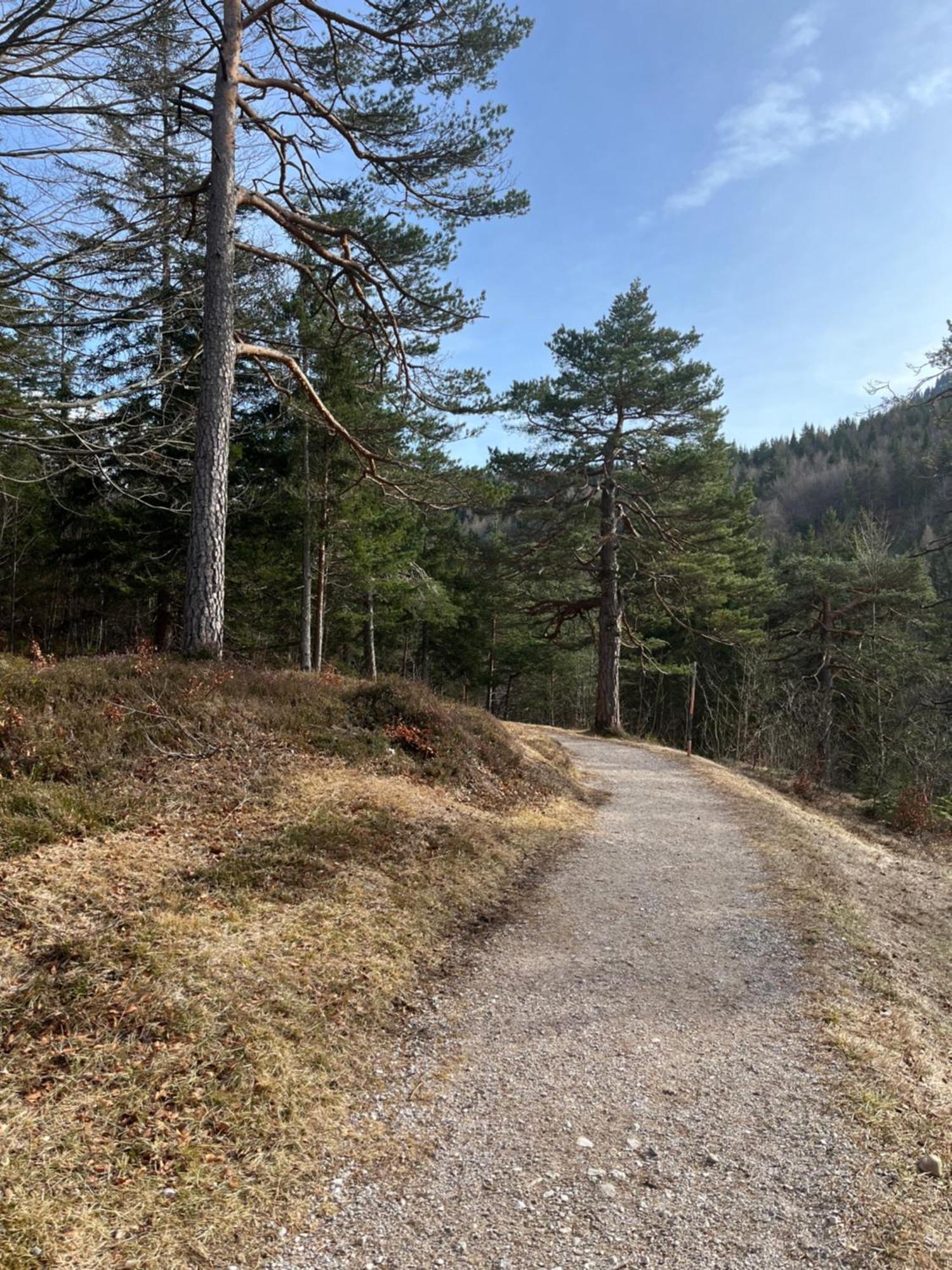 Fewo Lautersee ميتنوالد المظهر الخارجي الصورة